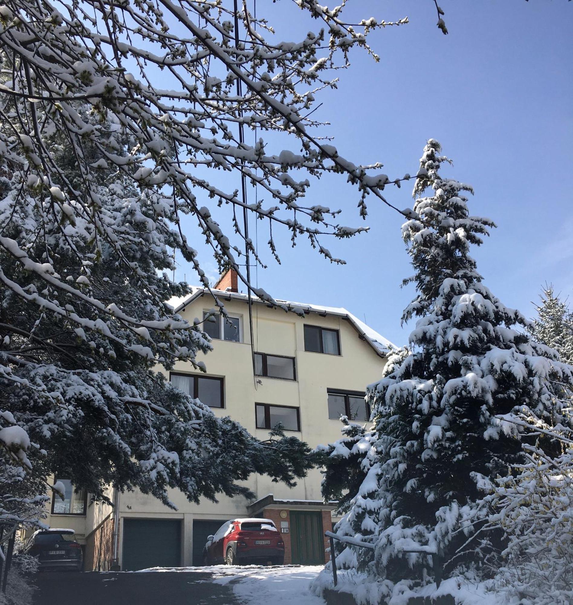 Romantic Two Bedroom Apartments In The Hills Of Budapest With Private Parking Exteriör bild
