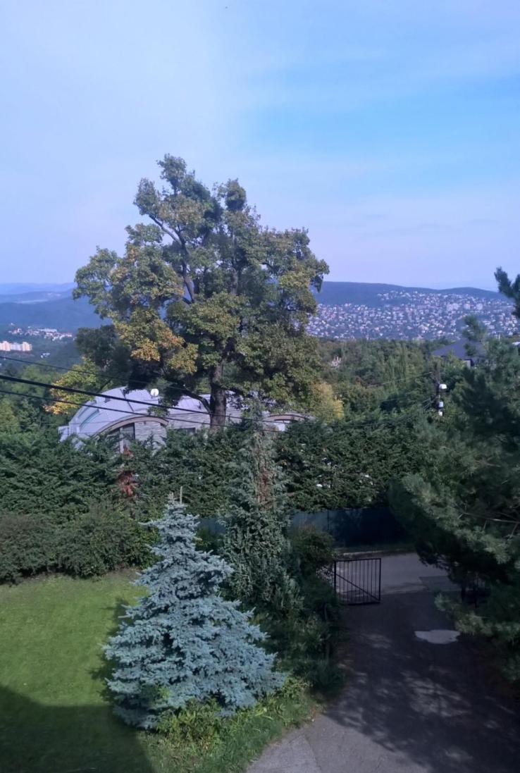 Romantic Two Bedroom Apartments In The Hills Of Budapest With Private Parking Exteriör bild